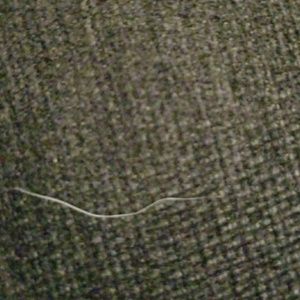 Meet your Posher, Sam